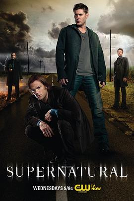 可乐影视《邪恶力量 第八季 Supernatural Season 8》免费在线观看