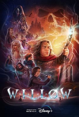 可乐影视《风云际会 Willow》免费在线观看