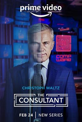 可乐影视《顾问 The Consultant》免费在线观看