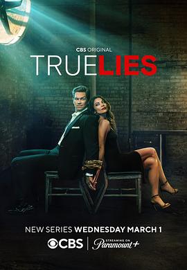 可乐影视《真实的谎言 True Lies》免费在线观看