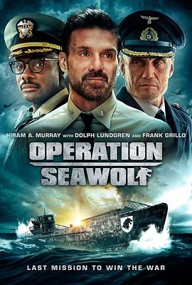 可乐影视《海狼行动 Operation Seawolf》免费在线观看